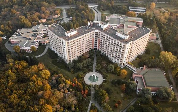 Аллея дендропарка санатория «Самшитовая роща»