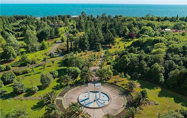 Дендропарк санатория «Самшитовая роща» в Пицунде — фото 12